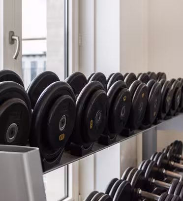 En række af sorte håndvægte arrangeret på et stativ i et fitnesscenter. Stativet er placeret i nærheden af store vinduer, der slipper naturligt lys ind. Udenfor ses en visning af bygninger. Rummet har hvide vægge og et spejlparti, der afspejler vægtene.